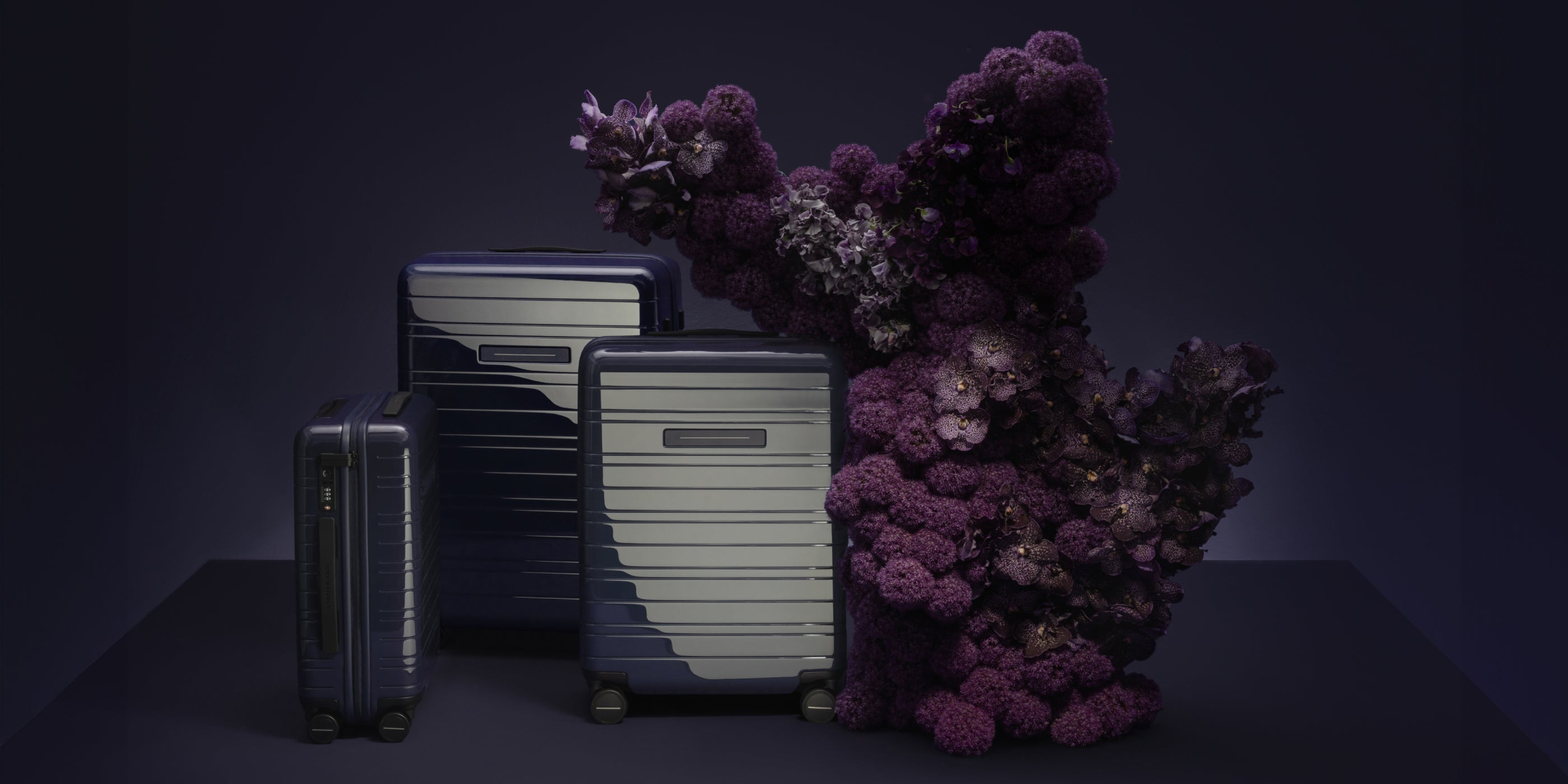 Purple Night Dekstop - Horizn Studios
